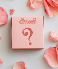 Modern Pinup Small Mystery Box